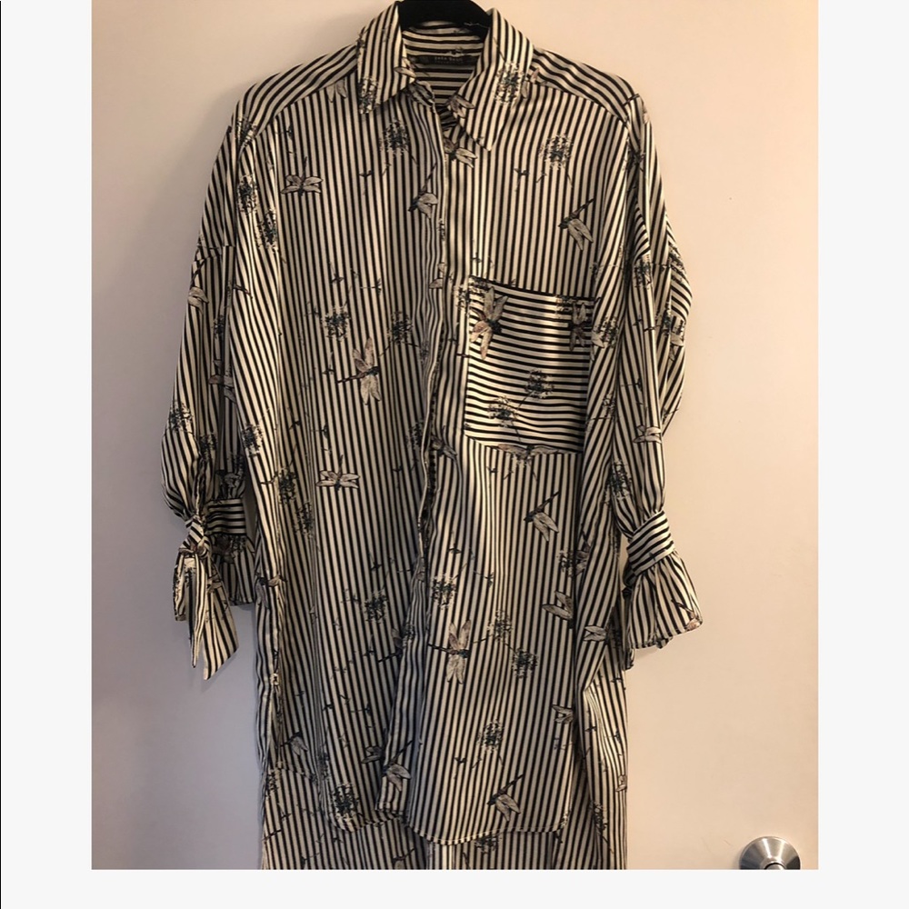 Zara Dragonfly Dress/Long top